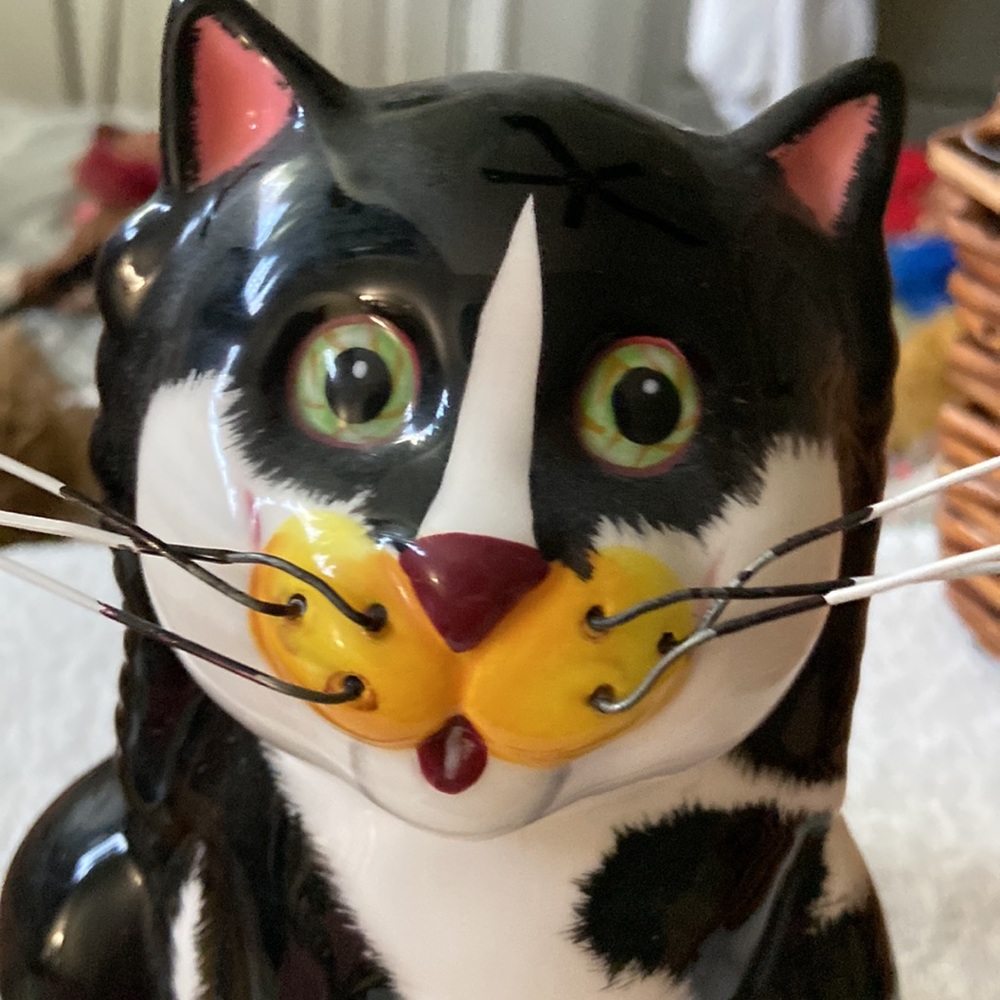 Cat - Picture 6 of 6